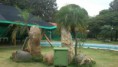 /album/mango-mist-resort-with-colleagues/dsc-0254-large-medium-jpg/